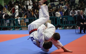 STAGE JUDO AVRIL 